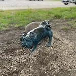 Daire Wohnen In Loriots Wasserstadt Mit Kamin Und Magentatv